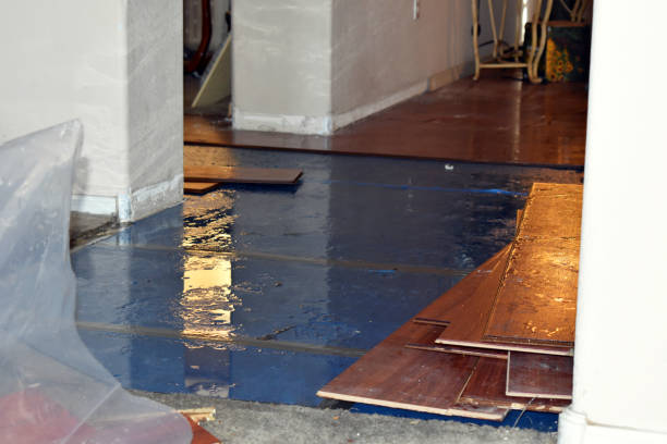 Professional Water Removal technician working in Orgas, WV